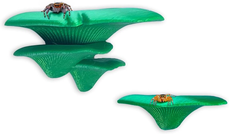Daerky Jumping Spider Mushroom Shelf, Magnetically Concealed Jumping Spider Habitat,Serves As Enclosure Decorate Accessories for Spider Climbing Feeding and Platforms (Green) - Image 1